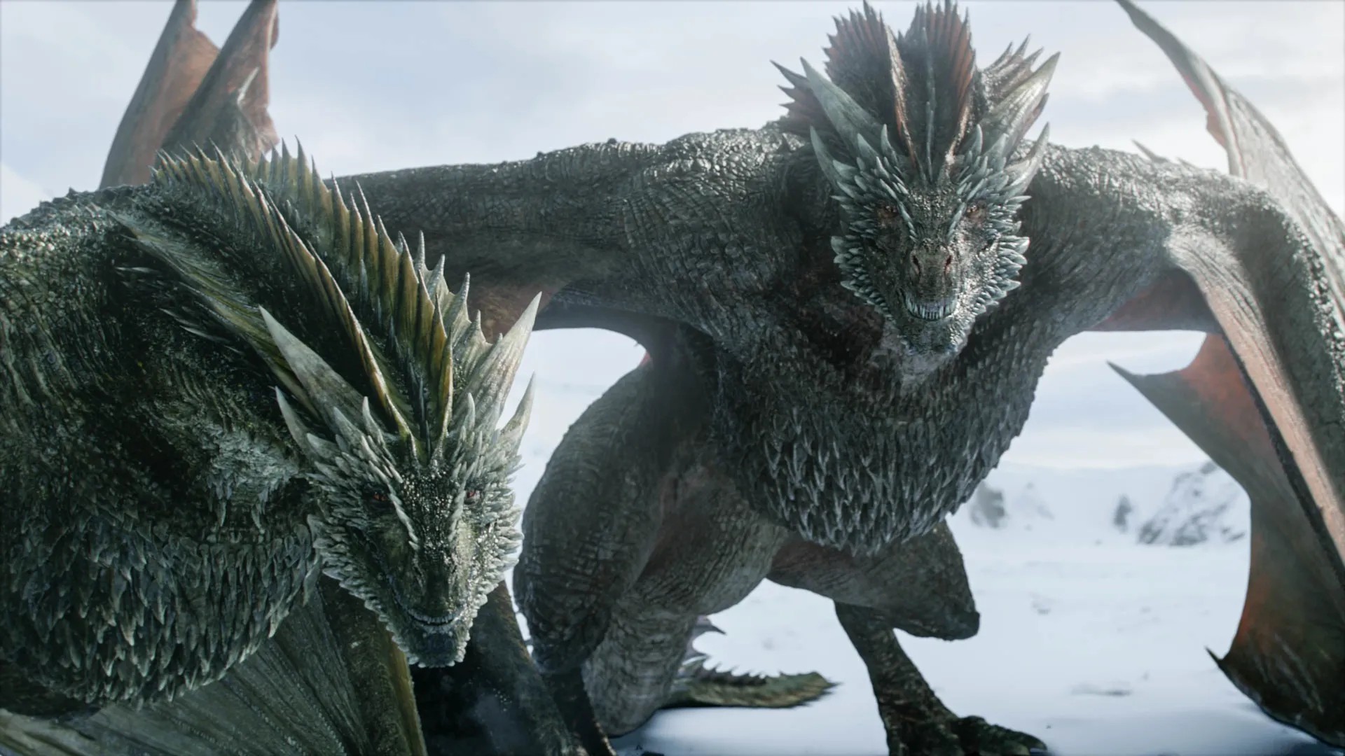 Estes répteis alados cuspidores de fogo são oriundos da Antiga Valiria, mas existiram em Westeros e Essos, tendo uma ligação com as famílias que descendem de Valiria, em especial a Targaryen (sendo seu sigilo). "Fogo feito de carne" dragões são dotados de grande poder de fogo, sendo imunes às chamas. Se alimentam de carne, chegando a devorar humanos, possuem o estranho hábito de queimar sua comida antes de comê-la, sendo junto dos humanos uma das únicas espécies que cozinham sua comida. Segundo alguns Meistres, os dragões não possuem sexo, sendo que um dragão poderia ser homem e mulher ao mesmo tempo, logo capazes de se reproduzirem sozinhos.